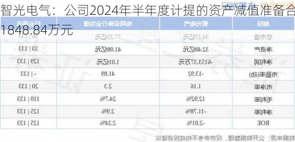 智光电气：公司2024年半年度计提的资产减值准备合计1848.84万元