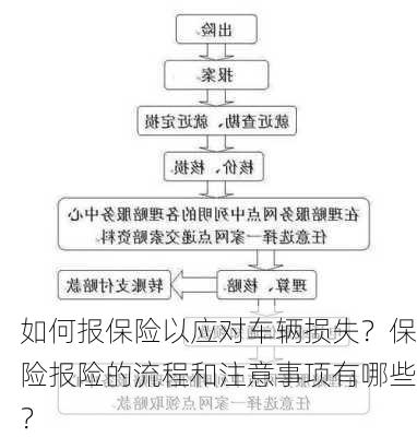 如何报保险以应对车辆损失？保险报险的流程和注意事项有哪些？