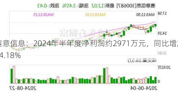 赛意信息：2024年半年度净利润约2971万元，同比增加34.18%