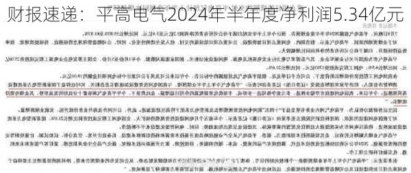 财报速递：平高电气2024年半年度净利润5.34亿元