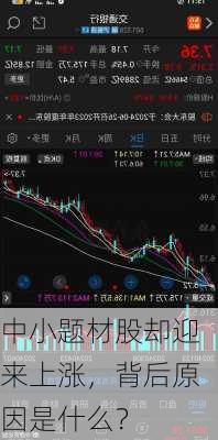 中小题材股却迎来上涨，背后原因是什么？