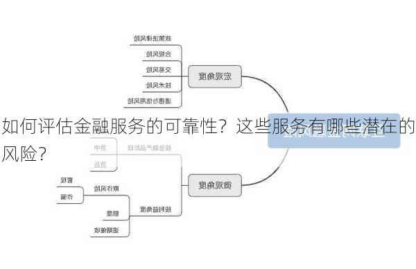 如何评估金融服务的可靠性？这些服务有哪些潜在的风险？