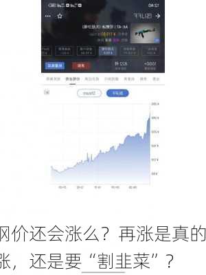 钢价还会涨么？再涨是真的涨，还是要“割韭菜”？