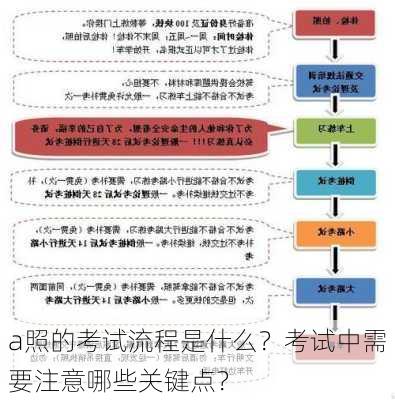 a照的考试流程是什么？考试中需要注意哪些关键点？