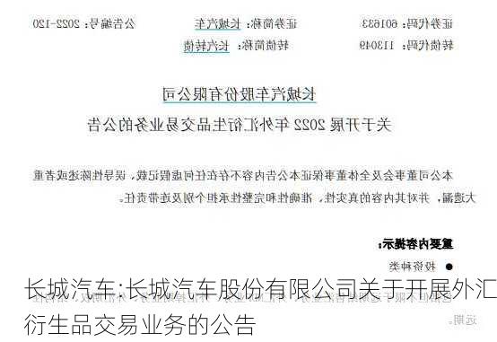 长城汽车:长城汽车股份有限公司关于开展外汇衍生品交易业务的公告