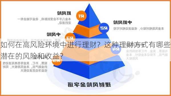 如何在高风险环境中进行理财？这种理财方式有哪些潜在的风险和收益？