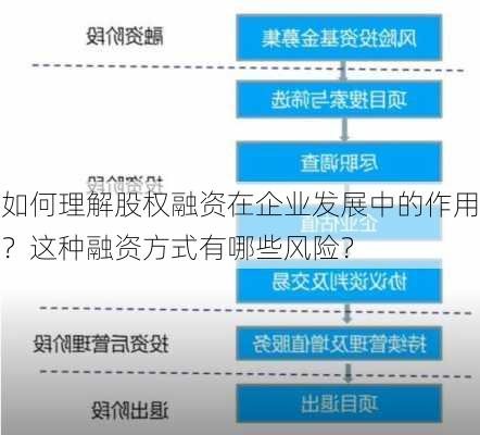 如何理解股权融资在企业发展中的作用？这种融资方式有哪些风险？