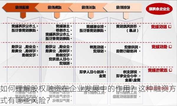 如何理解股权融资在企业发展中的作用？这种融资方式有哪些风险？