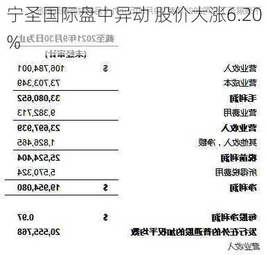 宁圣国际盘中异动 股价大涨6.20%