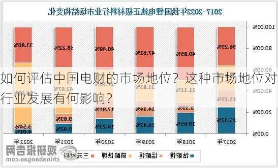 如何评估中国电财的市场地位？这种市场地位对行业发展有何影响？