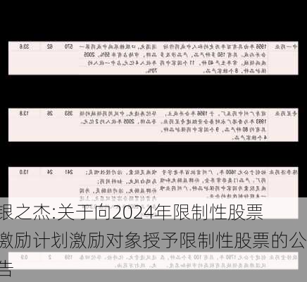 银之杰:关于向2024年限制性股票激励计划激励对象授予限制性股票的公告