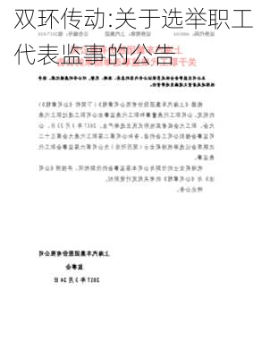 双环传动:关于选举职工代表监事的公告