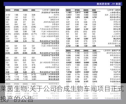 莱茵生物:关于公司合成生物车间项目正式投产的公告