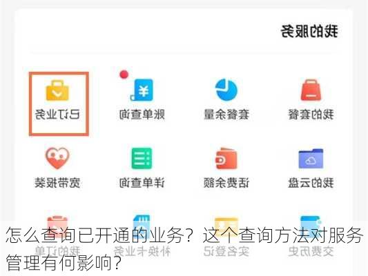 怎么查询已开通的业务？这个查询方法对服务管理有何影响？