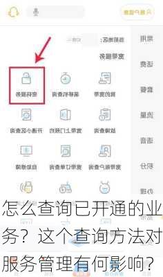 怎么查询已开通的业务？这个查询方法对服务管理有何影响？