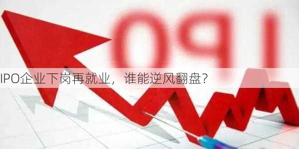 IPO企业下岗再就业，谁能逆风翻盘？