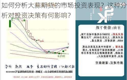 如何分析大蒜期货的市场投资表现？这种分析对投资决策有何影响？