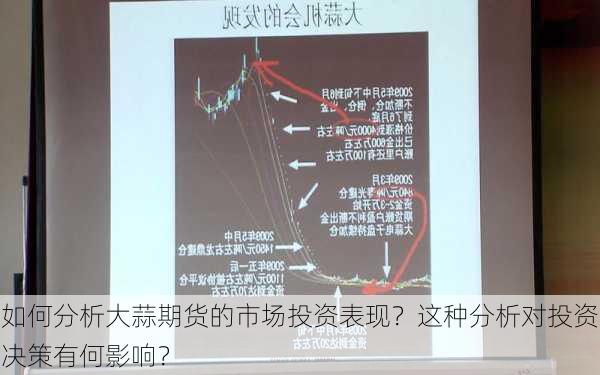 如何分析大蒜期货的市场投资表现？这种分析对投资决策有何影响？