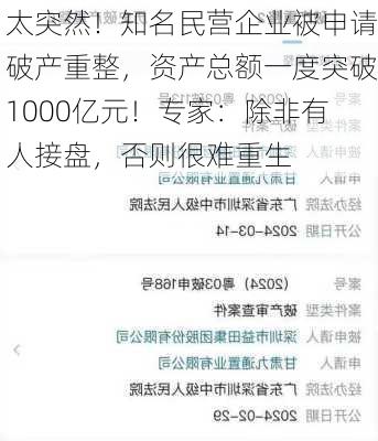 太突然！知名民营企业被申请破产重整，资产总额一度突破1000亿元！专家：除非有人接盘，否则很难重生