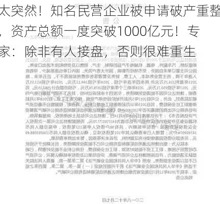 太突然！知名民营企业被申请破产重整，资产总额一度突破1000亿元！专家：除非有人接盘，否则很难重生