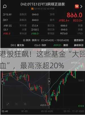 港股狂飙！这些基金“大回血”，最高涨超20%