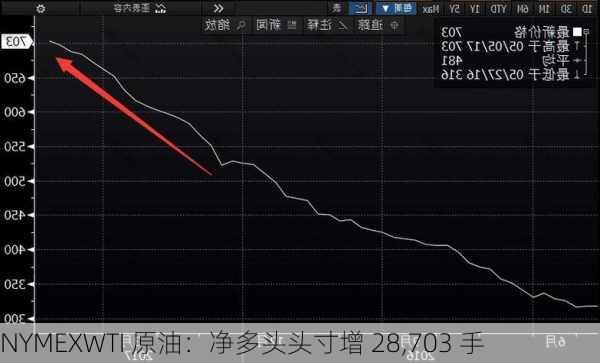 NYMEXWTI 原油：净多头头寸增 28,703 手