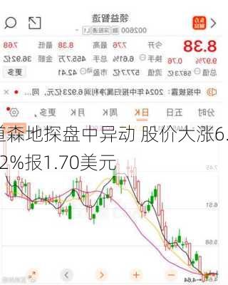 道森地探盘中异动 股价大涨6.92%报1.70美元