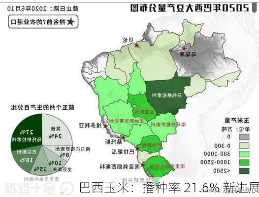 巴西玉米：播种率 21.6% 新进展