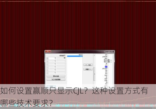 如何设置赢顺只显示CJL？这种设置方式有哪些技术要求？