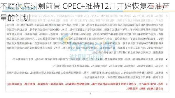 不顾供应过剩前景 OPEC+维持12月开始恢复石油产量的计划