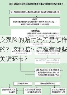 交强险的赔付流程是怎样的？这种赔付流程有哪些关键环节？