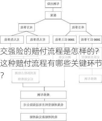 交强险的赔付流程是怎样的？这种赔付流程有哪些关键环节？