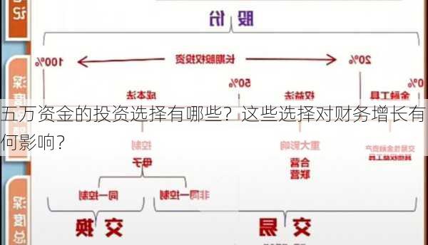 五万资金的投资选择有哪些？这些选择对财务增长有何影响？