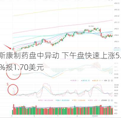 莱斯康制药盘中异动 下午盘快速上涨5.59%报1.70美元