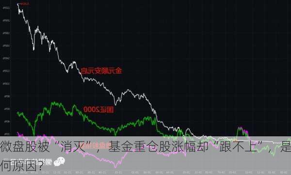 微盘股被“消灭”，基金重仓股涨幅却“跟不上”，是何原因？