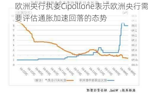 欧洲央行执委Cipollone表示欧洲央行需要评估通胀加速回落的态势