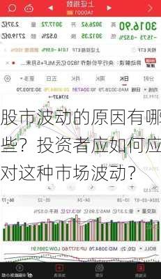 股市波动的原因有哪些？投资者应如何应对这种市场波动？