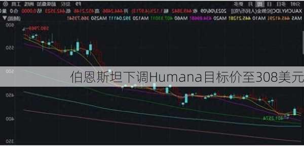 伯恩斯坦下调Humana目标价至308美元