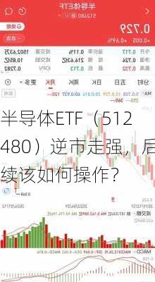 半导体ETF（512480）逆市走强，后续该如何操作？