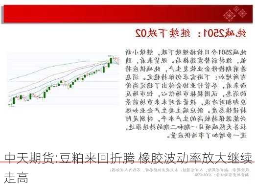 中天期货:豆粕来回折腾 橡胶波动率放大继续走高