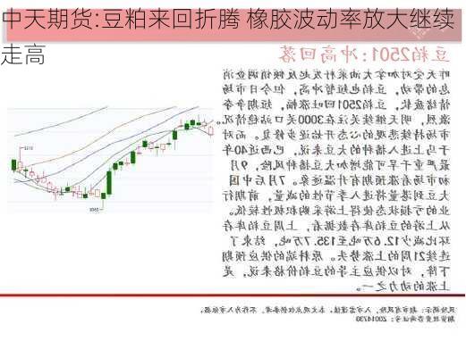 中天期货:豆粕来回折腾 橡胶波动率放大继续走高