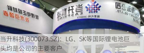 当升科技(300073.SZ)：LG、SK等国际锂电池巨头均是公司的主要客户