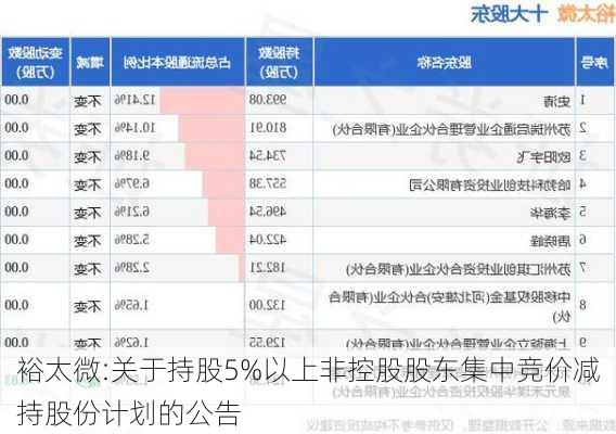 裕太微:关于持股5%以上非控股股东集中竞价减持股份计划的公告