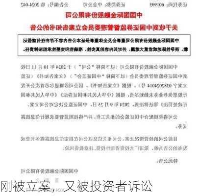 刚被立案，又被投资者诉讼