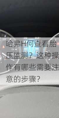 哈弗H何查看胎压监测？这种操作有哪些需要注意的步骤？