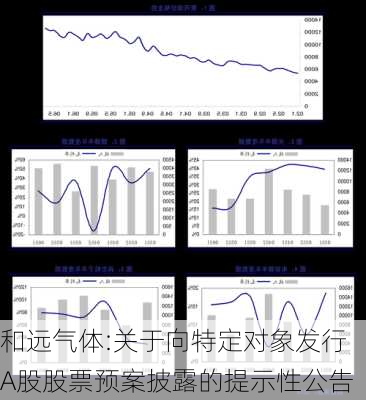 和远气体:关于向特定对象发行A股股票预案披露的提示性公告