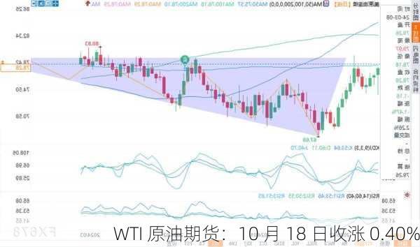 WTI 原油期货：10 月 18 日收涨 0.40%