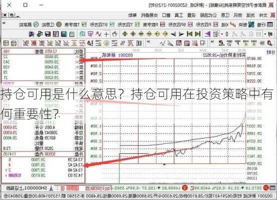 持仓可用是什么意思？持仓可用在投资策略中有何重要性？