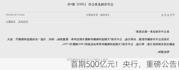 首期500亿元！央行，重磅公告！