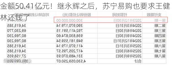 金额50.41亿元！继永辉之后，苏宁易购也要求王健林还钱了